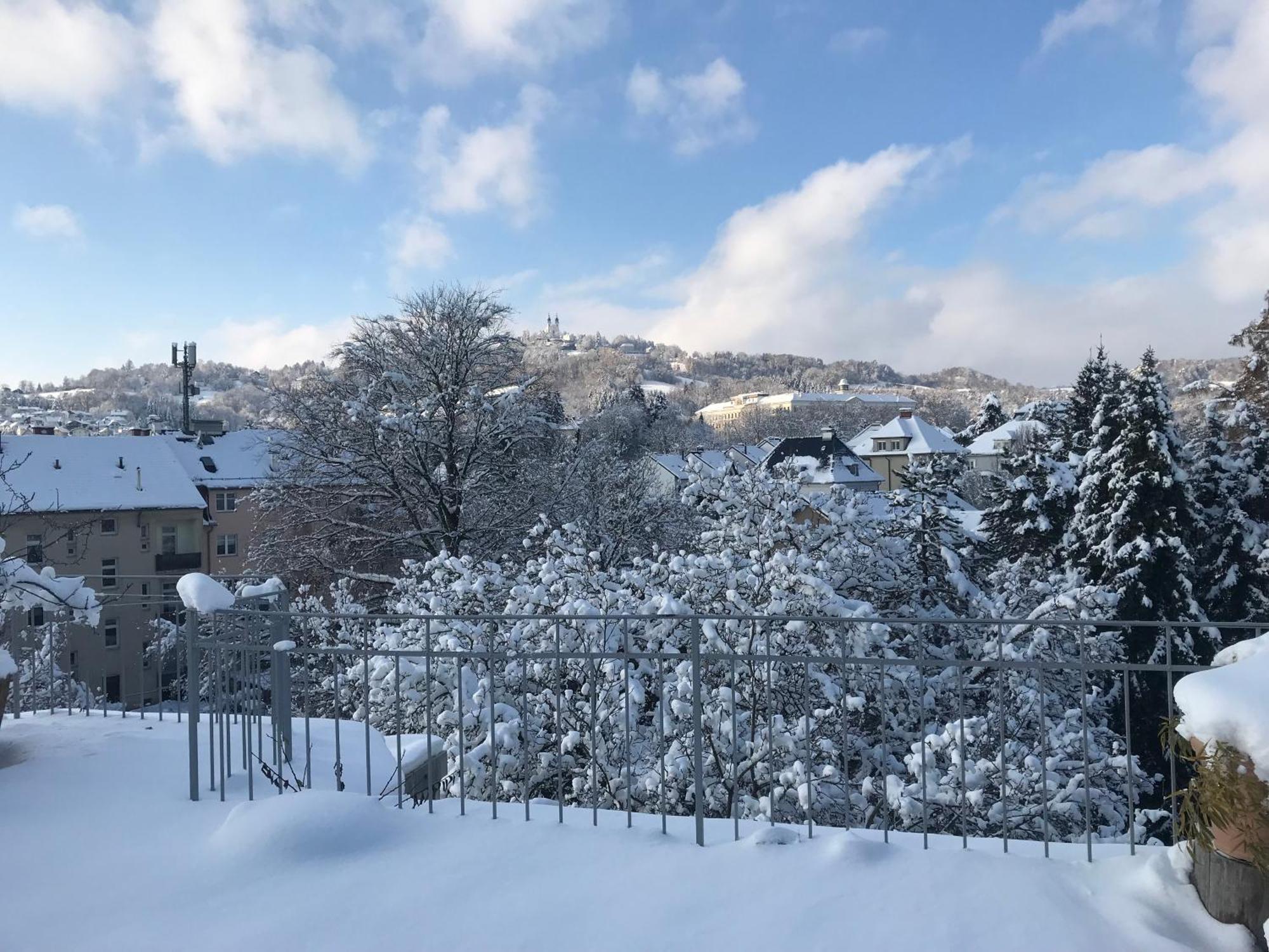 Stadtoase Mit Traumhaftem Ausblick Linz Eksteriør billede